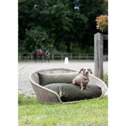 Laboni VOGUE OXFORD - Design-Hundebett in mehreren Farben