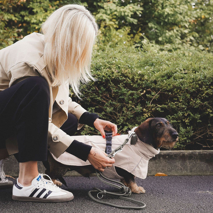 Funktioneller Mantel NORDBY für Dachshunde und kleine Hunde mit langem Körper. Mit einer Vielzahl an Funktionen ist er der optimale Begleiter für jedes Wetter. Multifunktionell, warm dank Innenfleece, individuell einstellbar, maschinenwaschbar.