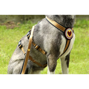 StyleSnout Sicherheitsgeschirr – Patch & Safe – Gold