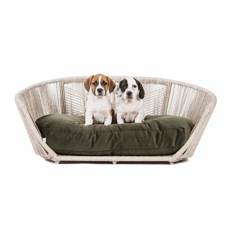 Laboni VOGUE OXFORD - Design-Hundebett in mehreren Farben