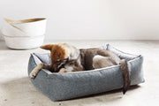 Laboni ORTHO SCALA - orthopädisches Hundebett Amber - Handarbeit aud Deutschland, Manufaktur, nachhaltig und orthopädisch, Designerbett