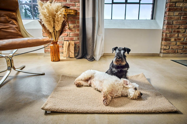 Laboni - Hundedecke - TEDDY CREME -  auch für unterwegs - Hochwertige Handarbeit aus Deutschland, ÖkoTex und recyclebar