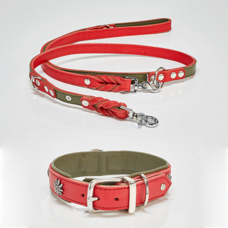 Laboni EDELWEISS - Elegantes Hundehalsband