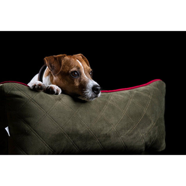 Laboni - CLASSIC Hundebett - OXFORD OLIVE