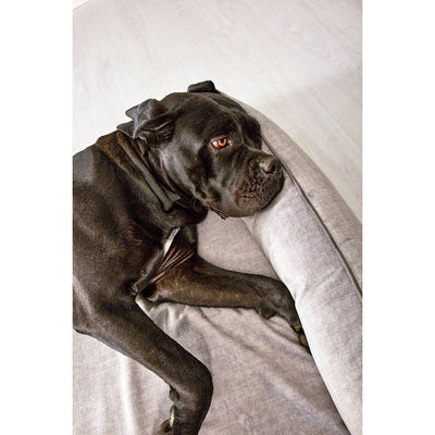 Laboni - CLASSIC Hundebett - GLAM Silver - Nachhaltig, Handarbeit aus Deutschland, orthopädisches Deisgnerhundebett