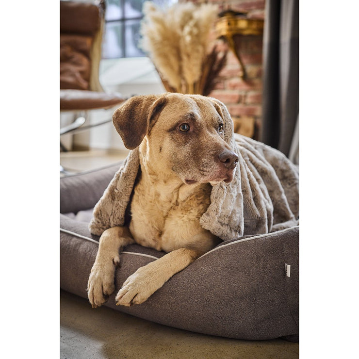 LABONI - CLASSIC Hundebett - BUFFALO TAUPE im Vintage-Leder-Look!