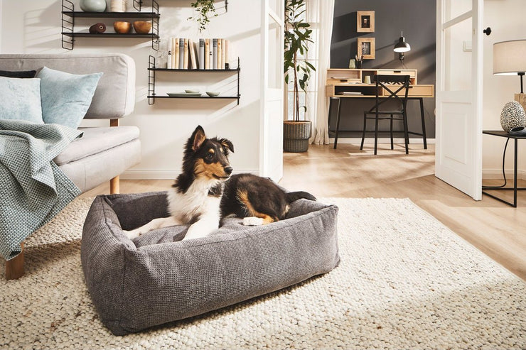 Laboni TUDOR - Hundebett in ANTHRAZIT - Hochwertige Handarbeit aus Deutschland, ÖkoTex und recyclebar, orthopädisch