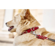 Laboni EDELWEISS - Elegantes Hundehalsband