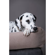 Laboni - CLASSIC Hundebett - BUFFALO CREME im Vintage-Leder-Look!