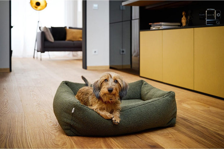 Laboni Hundebett Teddy in GREEN - Nachhaltig, Handarbeit aus Deutschland, orthopädisches Deisgnerhundebett