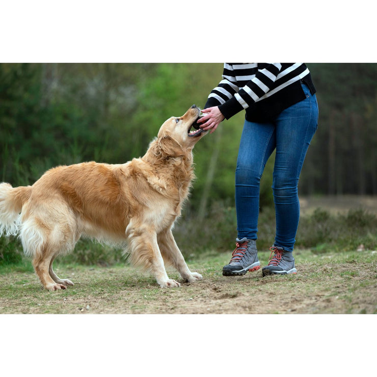 Laboni Big Ocean - Spielzeug-Set für Hunde