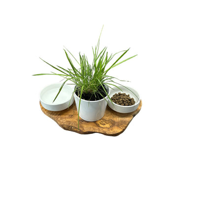 Futterstation RUSTY - aus robusten Olivenholz auf einer schwarzen Platte mit 2 Keramikschalen à 0,4 l und einem zusätzlichen Topf für Katzengras ist optimal für Katzen und kleinere Hunde. Hochwertig, geölt, exclusiv, modern. 