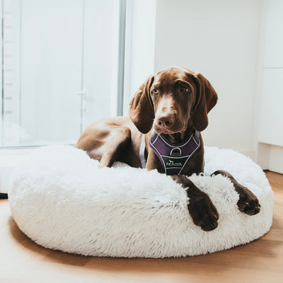 Hunter weißer Donut LOPPA (Schlafplatz) für Hunde und Katzen, luxeriös, edel, exclusiv, waschbar