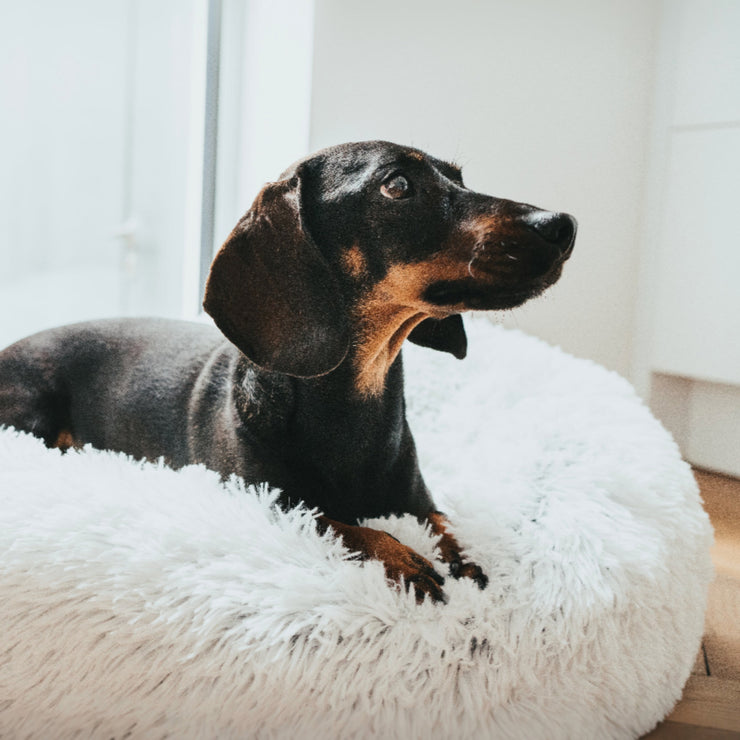 Hunter weißer Donut LOPPA (Schlafplatz) für Hunde und Katzen, luxeriös, edel, exclusiv, waschbar