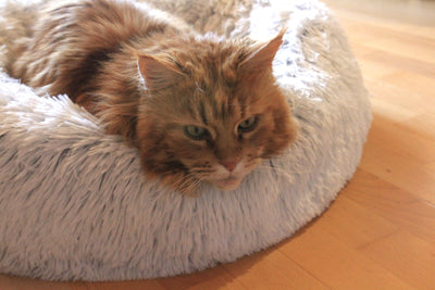 Hunter Donut für Katzen und Hunde. Hochwertiger, formstabiler und flauschiger Schlafplatz für Ihren Vierbeiner!