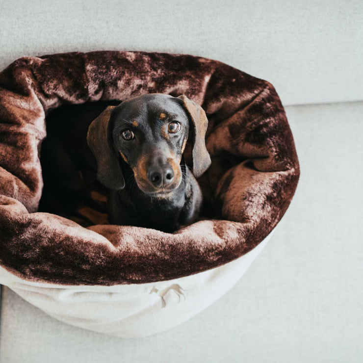 Hunter kuscheliger Multifunktionssack (Schlafsack) für Hunde und Katzen.  Wandelbar, luxeriös, exclusiv, waschbar. In drei Farben erhältlich.