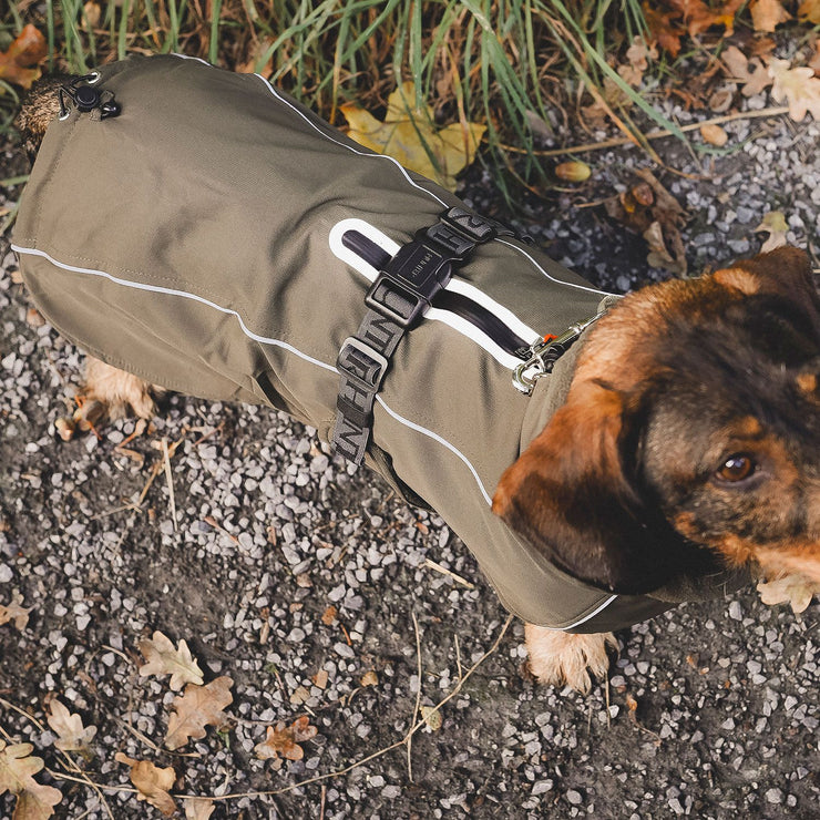 Funktioneller Mantel NORDBY für Dachshunde und kleine Hunde mit langem Körper. Mit einer Vielzahl an Funktionen ist er der optimale Begleiter für jedes Wetter. Multifunktionell, warm dank Innenfleece, individuell einstellbar, maschinenwaschbar.