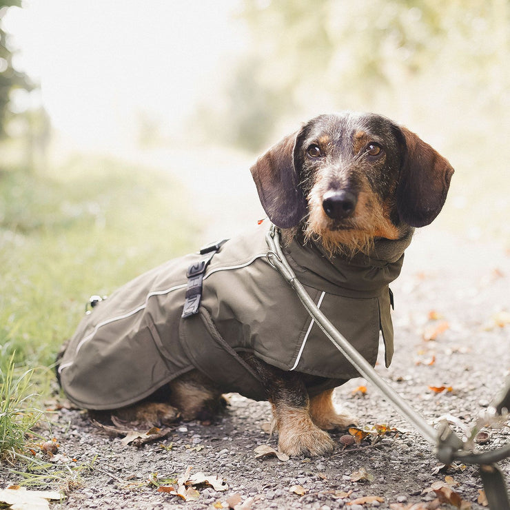 Funktioneller Mantel NORDBY für Dachshunde und kleine Hunde mit langem Körper. Mit einer Vielzahl an Funktionen ist er der optimale Begleiter für jedes Wetter. Multifunktionell, warm dank Innenfleece, individuell einstellbar, maschinenwaschbar.