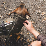 Funktioneller Mantel NORDBY für Dachshunde und kleine Hunde mit langem Körper. Mit einer Vielzahl an Funktionen ist er der optimale Begleiter für jedes Wetter. Multifunktionell, warm dank Innenfleece, individuell einstellbar, maschinenwaschbar.