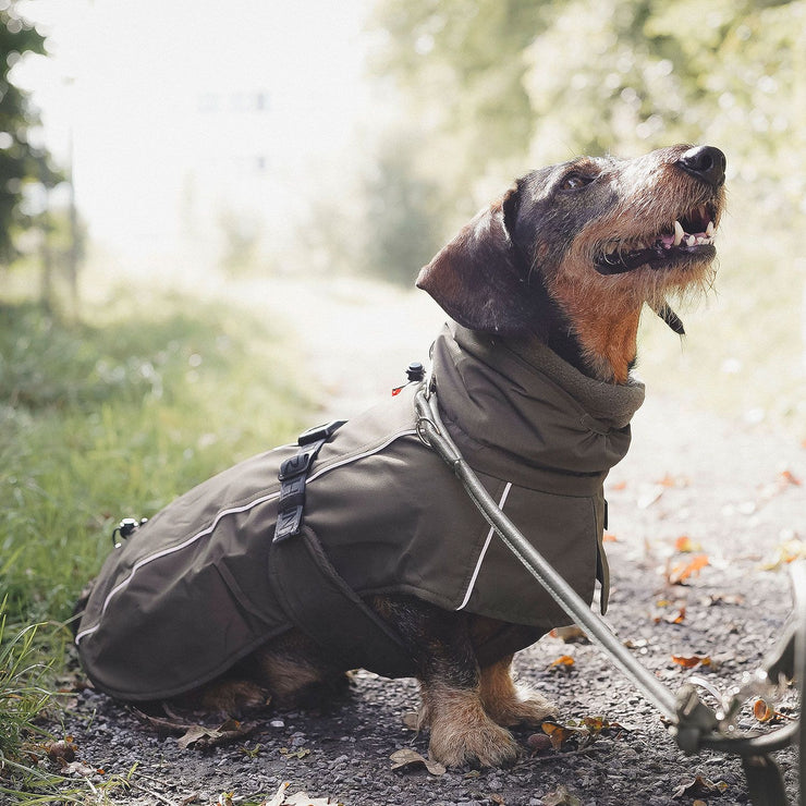 Funktioneller Mantel NORDBY für Dachshunde und kleine Hunde mit langem Körper. Mit einer Vielzahl an Funktionen ist er der optimale Begleiter für jedes Wetter. Multifunktionell, warm dank Innenfleece, individuell einstellbar, maschinenwaschbar.