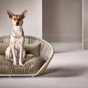 Laboni VOGUE OXFORD - Design-Hundebett in mehreren Farben