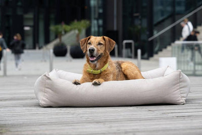 Laboni SMOOTH - OUTDOOR-Hundebett in LINO - Hochwertige Handarbeit aus Deutschland, ÖkoTex und recyclebar, Outdoorbett