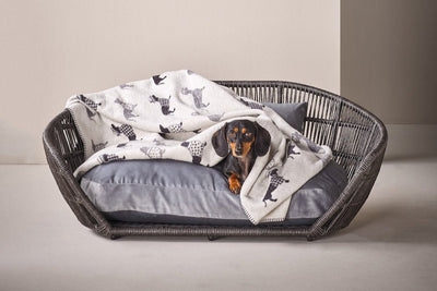Laboni - Hundedecke - TECKEL -  auch für unterwegs - wunderbar weich und sehr hochwertig, ÖkoTex und recyclebar, Dackel Design 