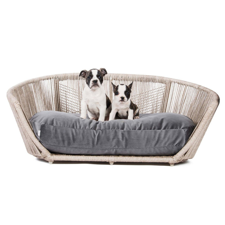 Laboni VOGUE OXFORD - Design-Hundebett in mehreren Farben