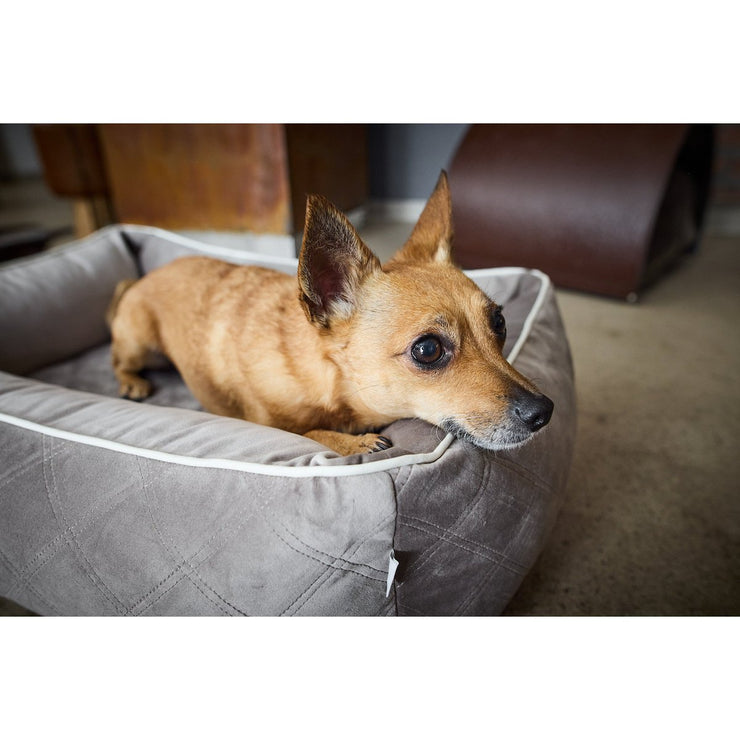 Laboni - CLASSIC Hundebett - OXFORD TAUPE