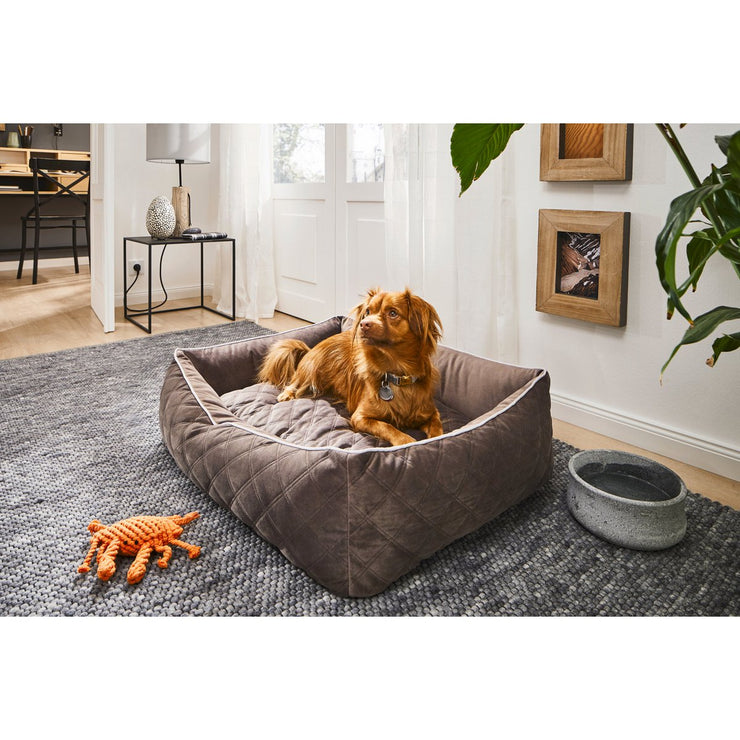 Laboni - Hundebett - OXFORD STONE -  Hochwertige Handarbeit aus Deutschland, ÖkoTex und recyclebar, orthopädisch