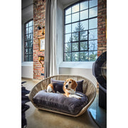 Laboni VOGUE OXFORD - Design-Hundebett in mehreren Farben