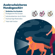 StyleSnout Sicherheitsgeschirr – Patch&Safe – Schwarz