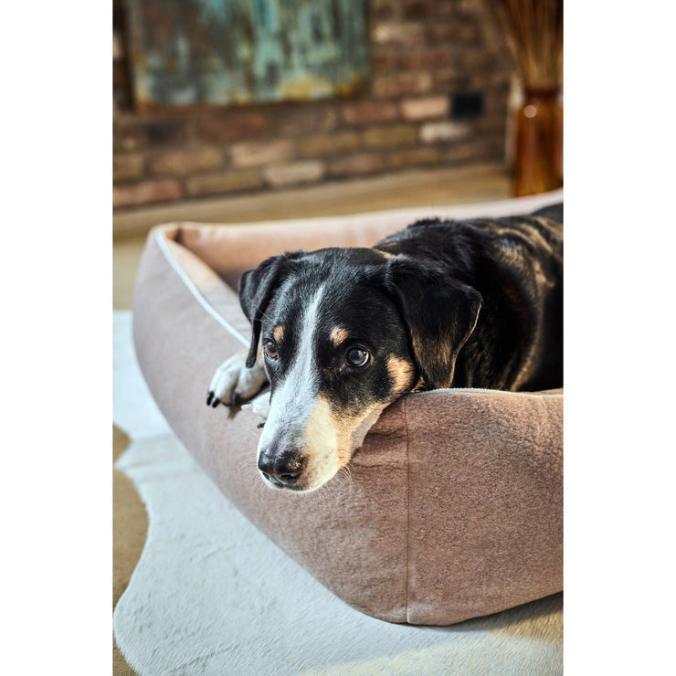 Laboni - CLASSIC Hundebett - BUFFALO CREME im Vintage-Leder-Look!