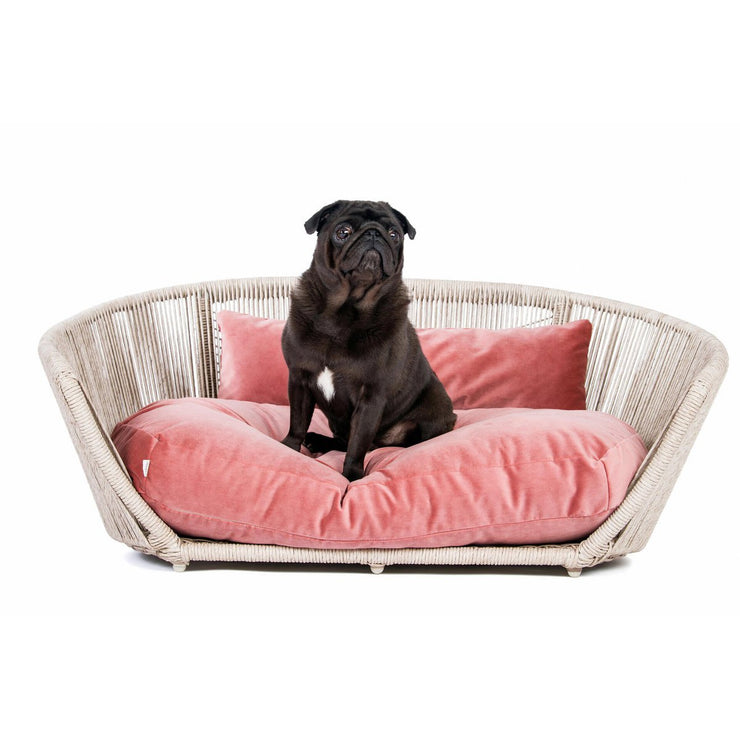 Laboni VOGUE OXFORD - Design-Hundebett in mehreren Farben