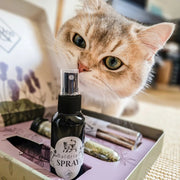 ne&no Geschenkset mit Katzenminze, Matatabi-Kausticks und Baldrianspray. Das perfekte Geschenk für Katzenfreunde und ihre tierischen Begleiter!