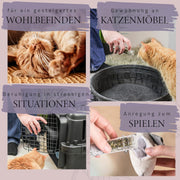 ne&no Geschenkset mit Katzenminze, Matatabi-Kausticks und Baldrianspray. Das perfekte Geschenk für Katzenfreunde und ihre tierischen Begleiter!