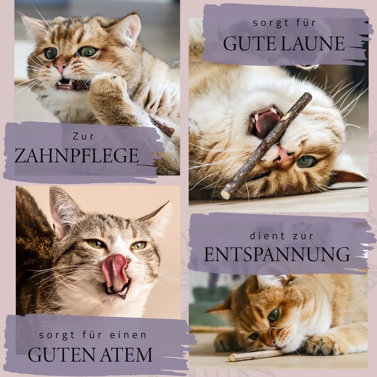 ne&no Geschenkset mit Matatabi-Kausticks. Der natürliche Zahnreiniger für Ihre Katze sorgt für guten Atem und gesunde Zähne.